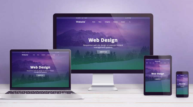 PRO. WEB DESIGN - HAMILTON WEBSITE DEVELOPER406757119875491842
