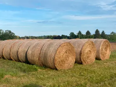 Hay bales, View more