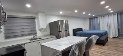 Magnifique Studio complètement rénové, habité par le propriétaire non fumeur très propre. Situé à Vi...
