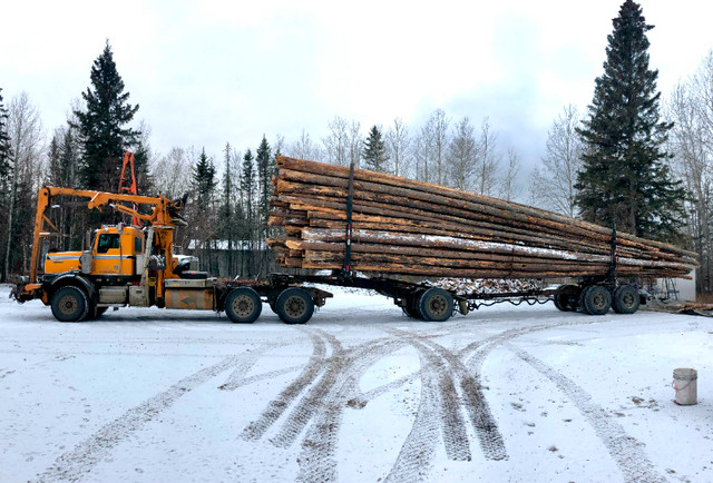 Log Truck Loads and Processed Firewood in Fireplace & Firewood in Edmonton - Image 2