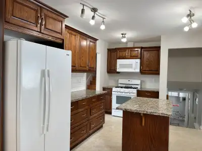 rental Glamorgan 4 bedroom