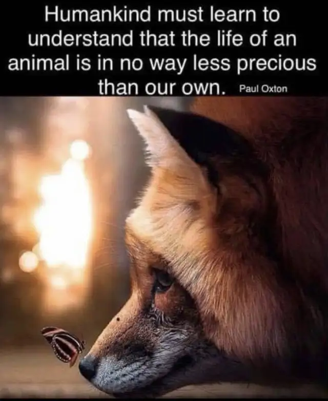 Great Friend Only!!! (Edmonton Only)!!!!64520064735619123