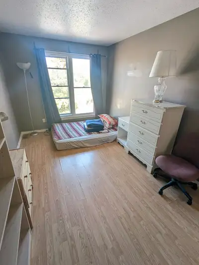 Move in today! Woodroffe/Majestic, 4 min to Algonquin.