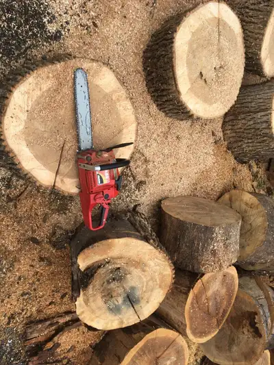 Recherche  bois de chauffage a couper, View more
