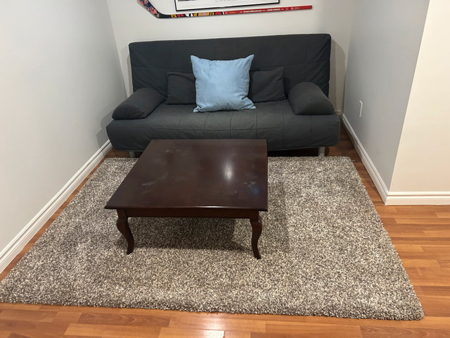 IKEA futon sofa bed in Couches & Futons in Ottawa