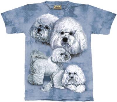 We have two T-shirts left (Adult Sizes - medium and extra-large) - they are brand new, NEVER worn, N...