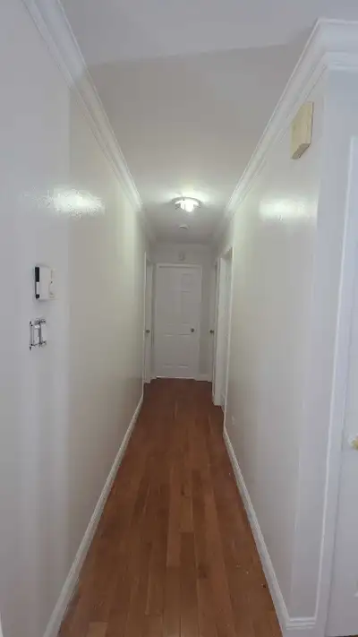 Painters available. Interior/Exterior. Same day too, View more