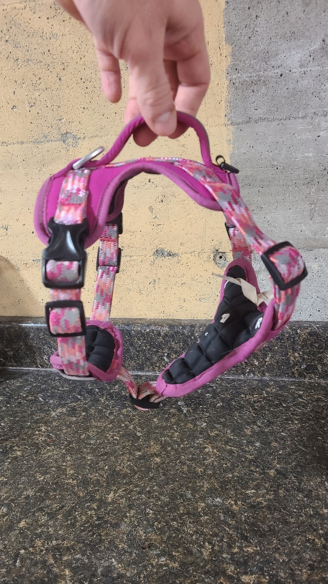 Full control dog harness  in Accessories in St. John's - Image 2