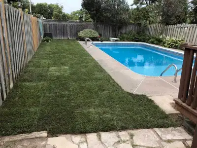 CITY GREEN SODDING FOR FREE QUOTES CALL 604 818 6857, View more