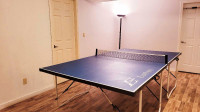 Table Tennis Table with net