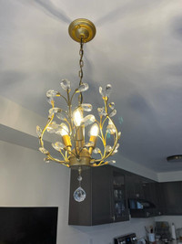 Chandelier Pendant Light Lamp Lighting