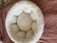 white cat bed