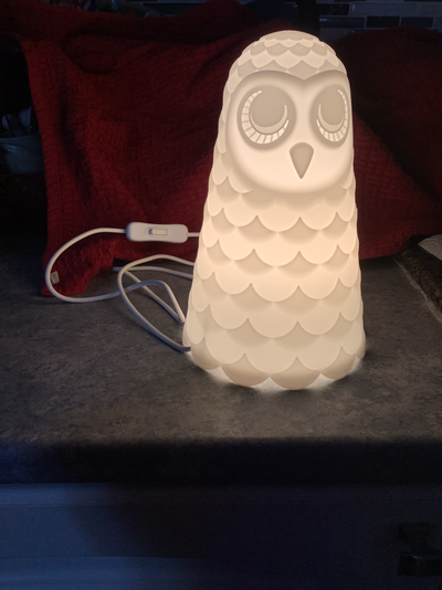 NEW OWL LAMP, View more