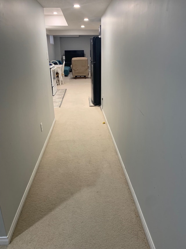 Furnished 1 bedroom separate Basement in Waterloo for rent. Long Term