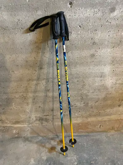 kids ski poles, View more