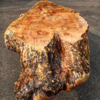 Live edge feature coffee table