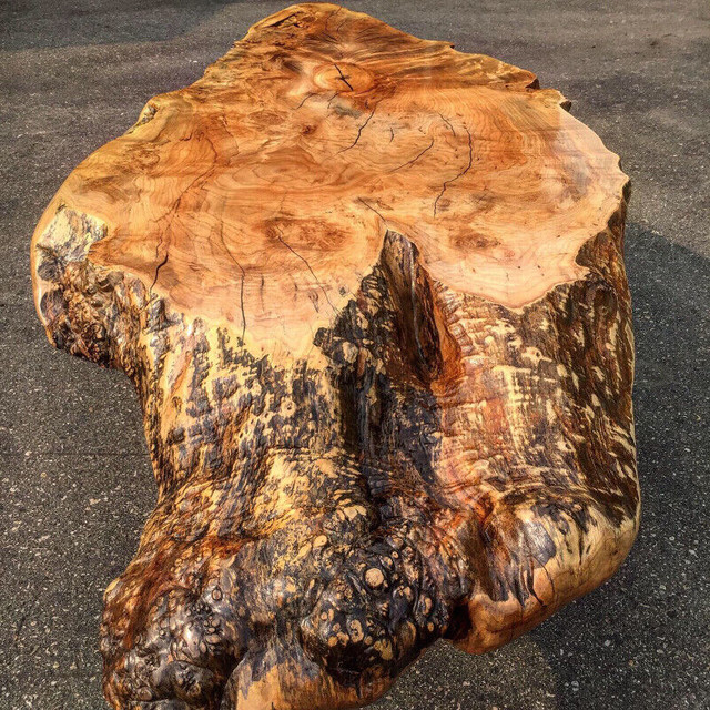 Live edge feature coffee table in Coffee Tables in Cranbrook