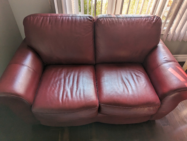 Premium Leather Sofa & Loveseat in Couches & Futons in Hamilton - Image 4