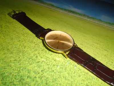 Montre / Mingbo / Or / Neuf, View more