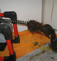 Tree Root Main Drain Pipe and Kitchen Sink Clog Remove