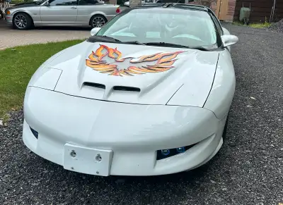 Mint on mint fully custom firebird compition audio system fully modified interior and estorior corve...