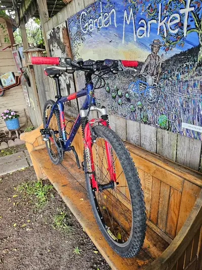 Gary Fisher Big Sur size M 18" ATB at Lumpy Bikes, View more