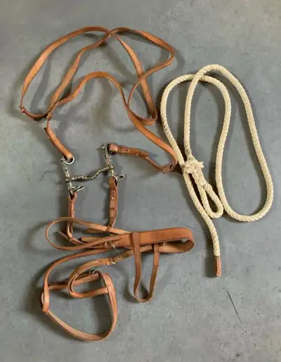 Bride de Cheval en cuir et corde d’attache, View more