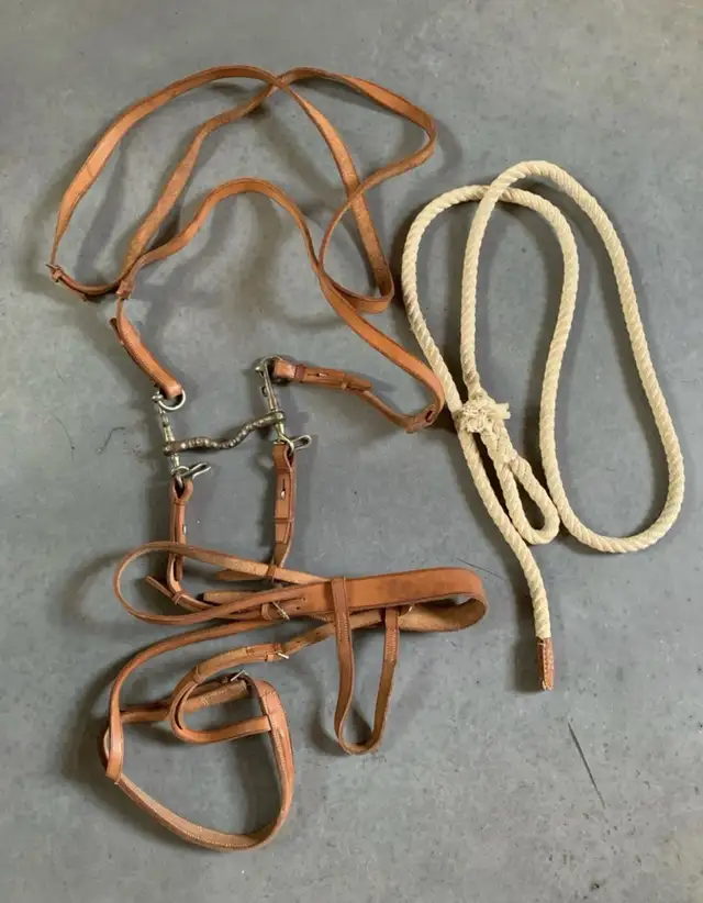 Bride de Cheval en cuir et corde d’attache in Equestrian & Livestock Accessories in Laurentides - Image 2