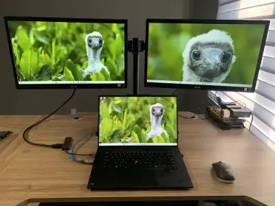 Dual Monitor Stand with 2 LG 21” Monitors HDMI Output, View more