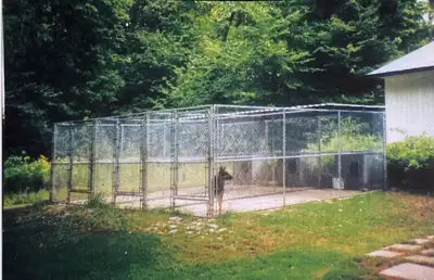 Enclos galvanisés de Qualité commercial, idéal pour chien . Cage 18 large x 18.6 prof x 6.1 haut. Po...