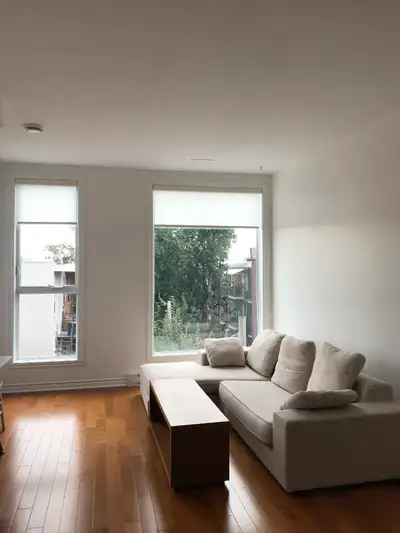 4 1/2 dans Rosemont très lumineux