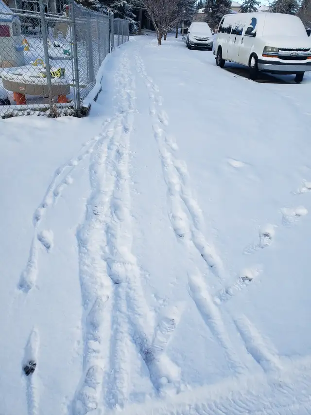 SW Calgary Snow + Lawn Care | $175/Month