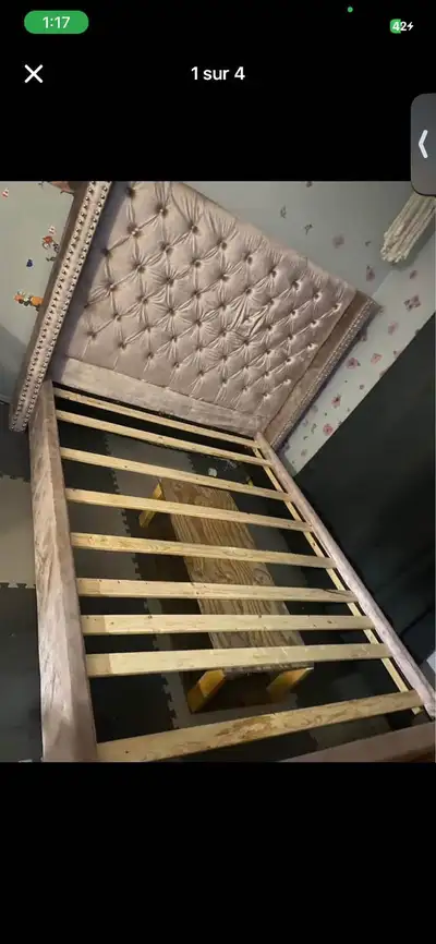 lit rose , View more