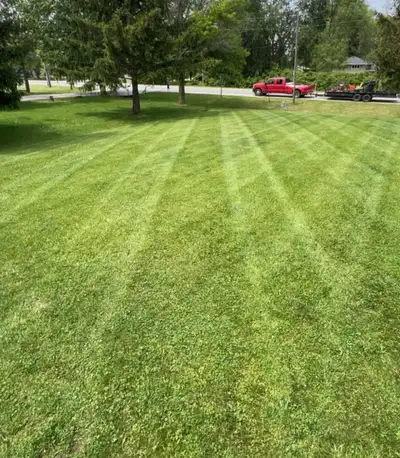 Grass Cutting & Aerating, View more