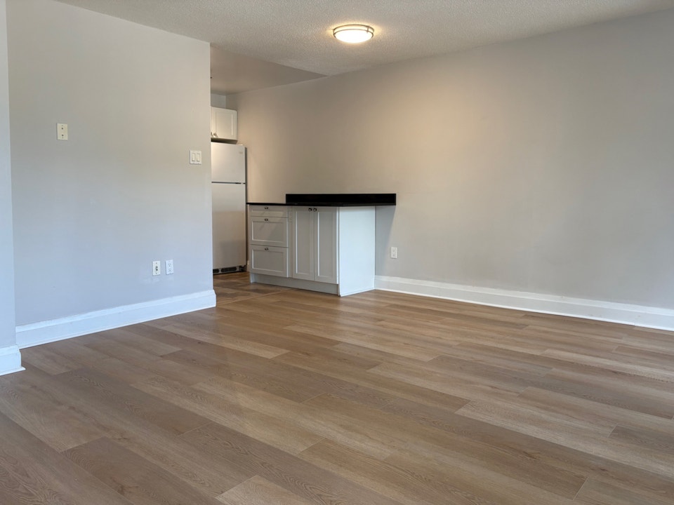 Newly Renovated 1 Bed, 1 Bath Condo for Lease 4