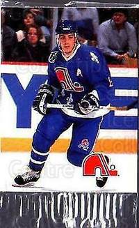 1992-93 Humpty Dumpty SR. 1 #19 Quebec Nordiques Joe Sakic CELLO