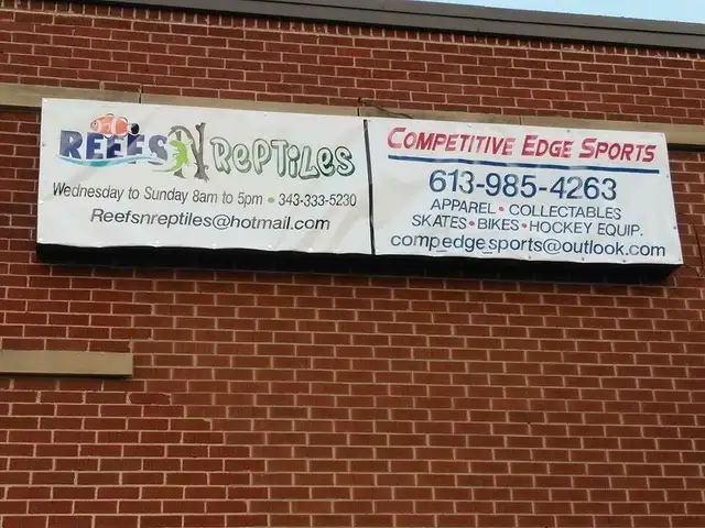 We Buy, Consign, Sell, Trade & Repair Bikes. in Mountain in Kingston - Image 2