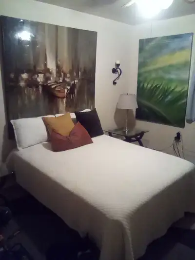 Roommate wanted