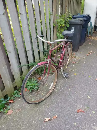 Needs tlc best offer