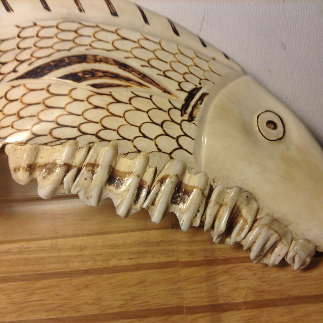 Antique Jawbone/Teeth Fossil Bone Fish Marlin in Arts & Collectibles in Vancouver - Image 4