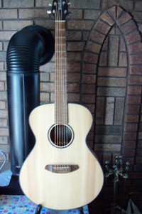 Breedlove acoustic guitar