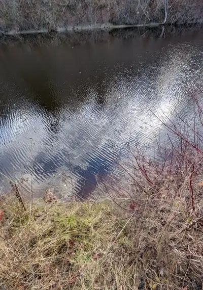 ✅ Yes Available - $89K Waterfront Land for Sale on Veuve River ✅ West Nipissing (Verner, Ontario). 3...
