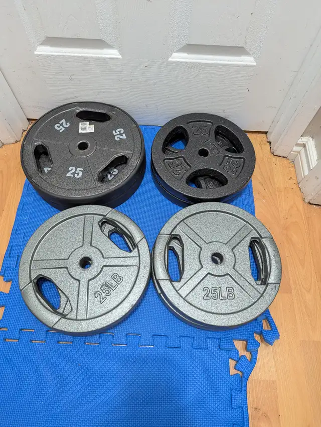 standard weight plates w/ handles ($1.45/lbs) in Exercise Equipment in Delta/Surrey/Langley - Image 6