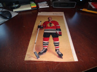 Chicago Black Hawks hockey club perspective Photos 1960 nhl