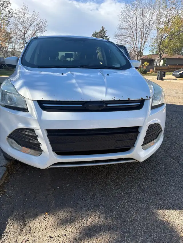 2015 ford escape 604579925308231682