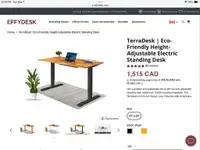 TerraDesk Eco-Friendly Height Adjustable Electric Sit-Stand Desk