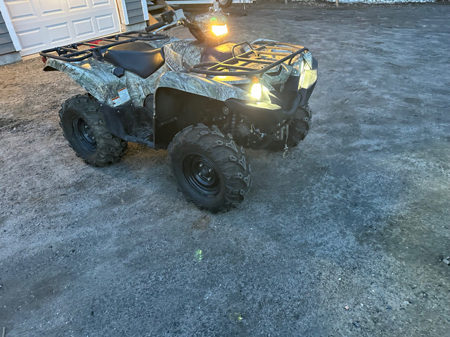 2016 Yamaha Grizzly  in ATVs in Muskoka - Image 2