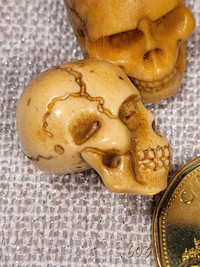 6 Crânes d'os naturels sculptés. Bovine bone carved Skulls.