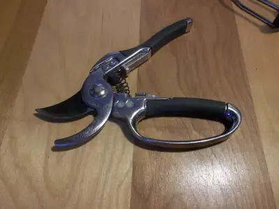 Ciseaux à jardin., View more