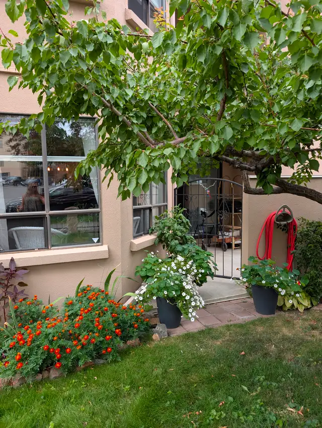 108 – 338 Nicola Street (Ashley Court), Kamloops BC (55+)63660929049475120